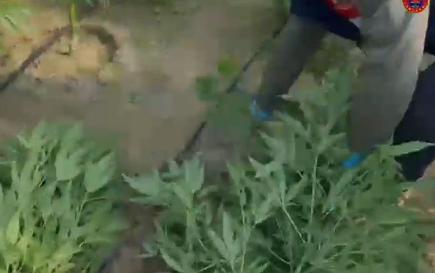 Antalya&rsquo;da 23,9 kilo uyuşturucu madde ele ge&ccedil;irildi
