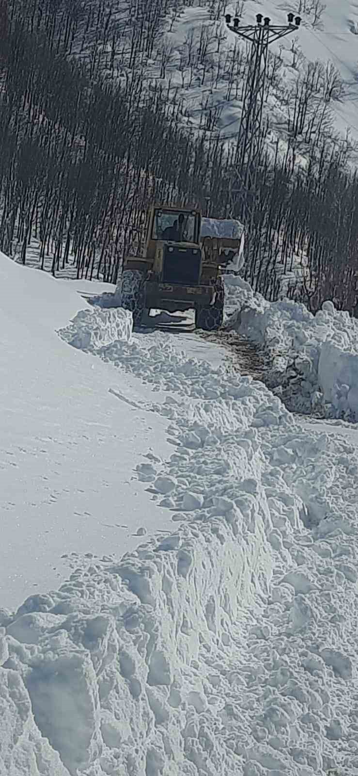 Bingöl’de kapalı köy yolları bir bir açılıyor