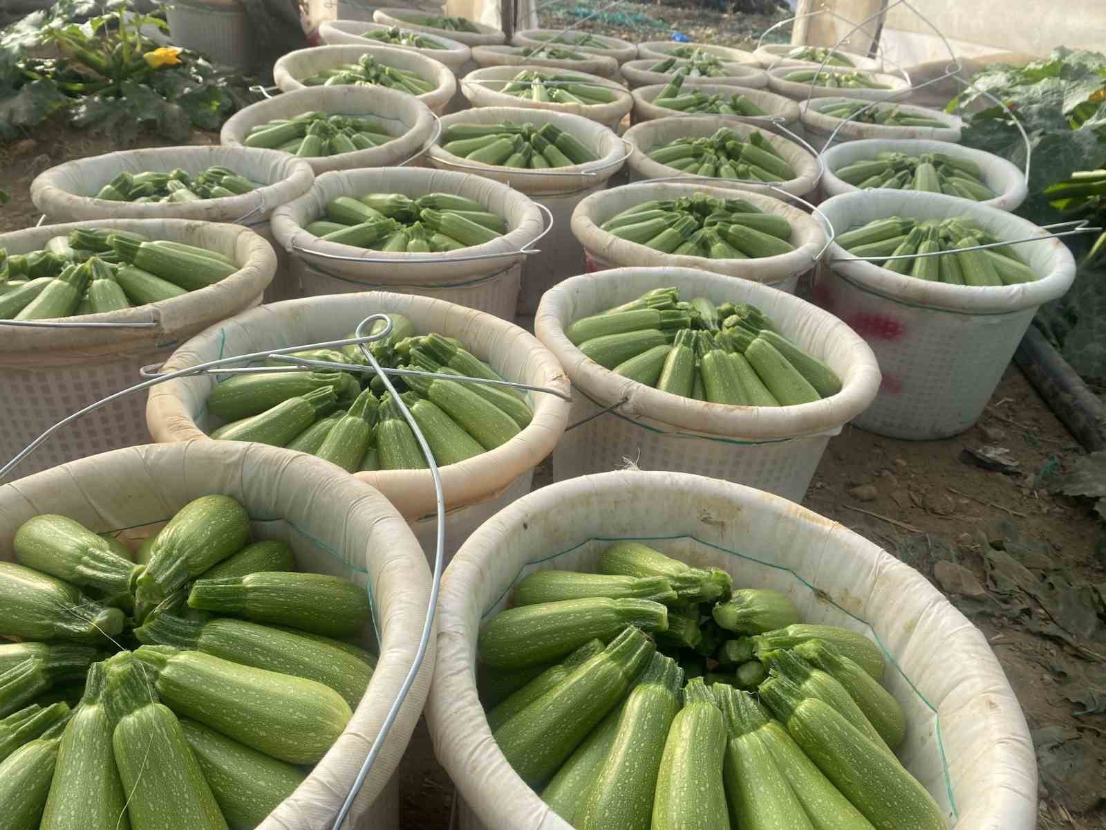 Antalya&rsquo;da Şubat ayında meyve işlem miktar endeksi y&uuml;zde 21,34 azaldı
