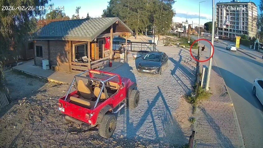 Tokalaştığı şahsın silahlı saldırısına uğrayıp &ouml;l&uuml;mle burun buruna gelmişti, 2 ş&uuml;pheli tutuklandı
