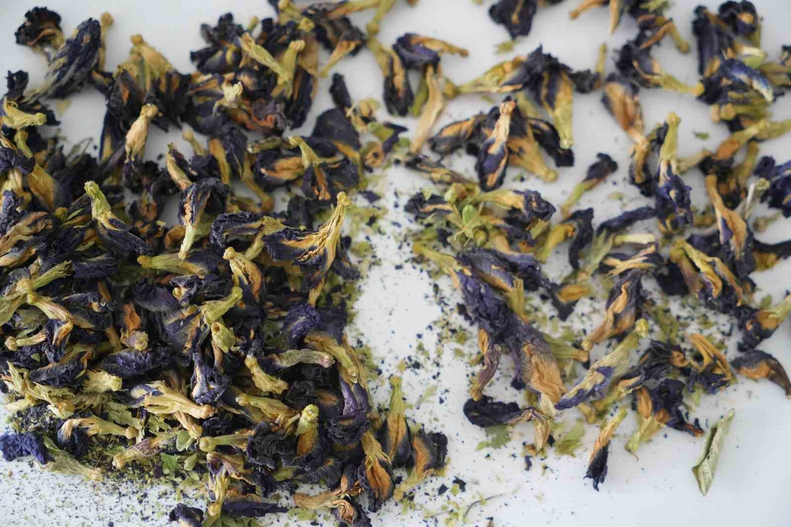 OM&Uuml; projesiyle gıda end&uuml;strisine pH duyarlı doğal renklendirici adayı
