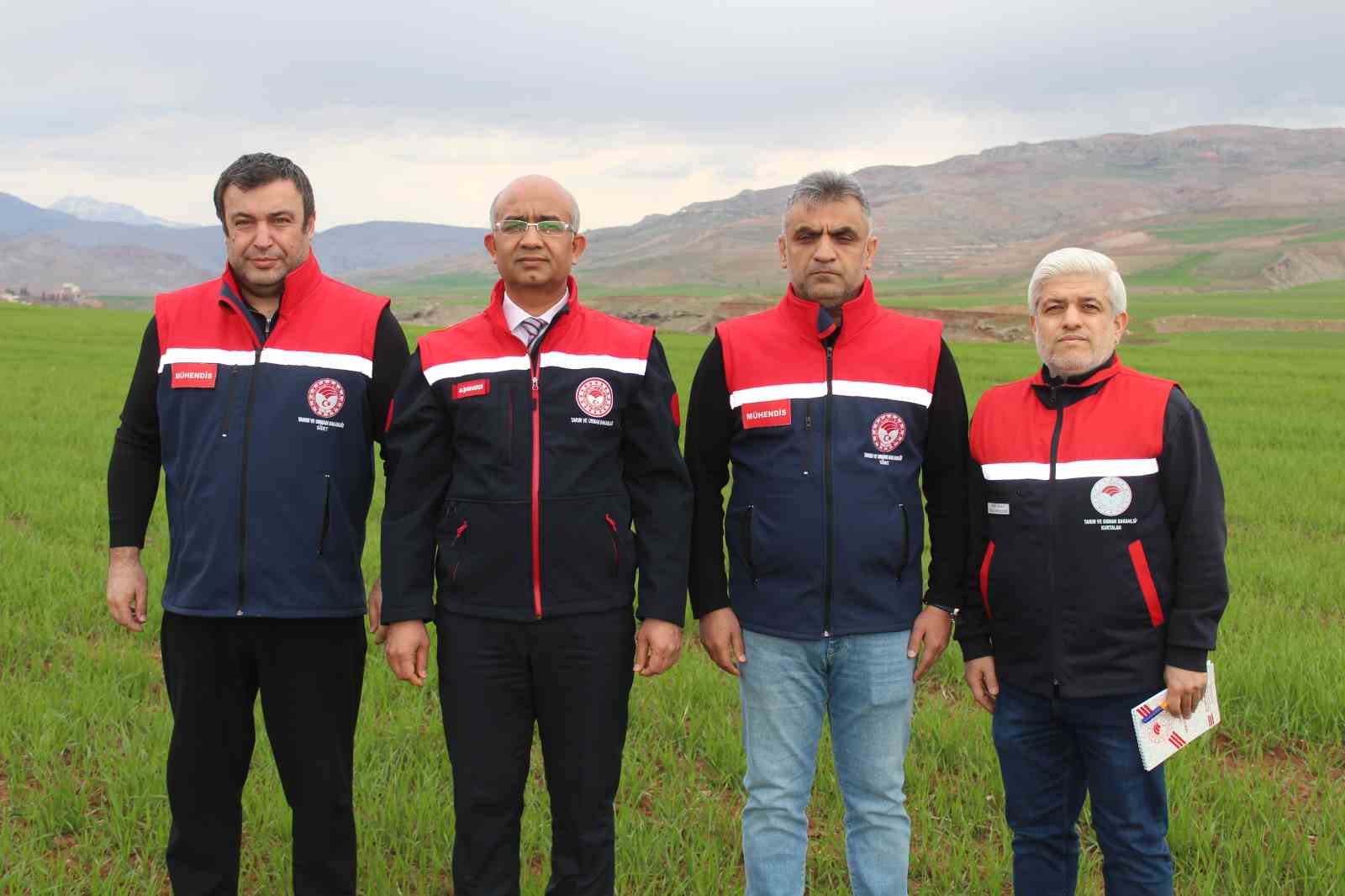 Siirt&rsquo;te yağışlar y&uuml;zde 150 arttı, tarımsal hasıla beklentisi y&uuml;kseldi
