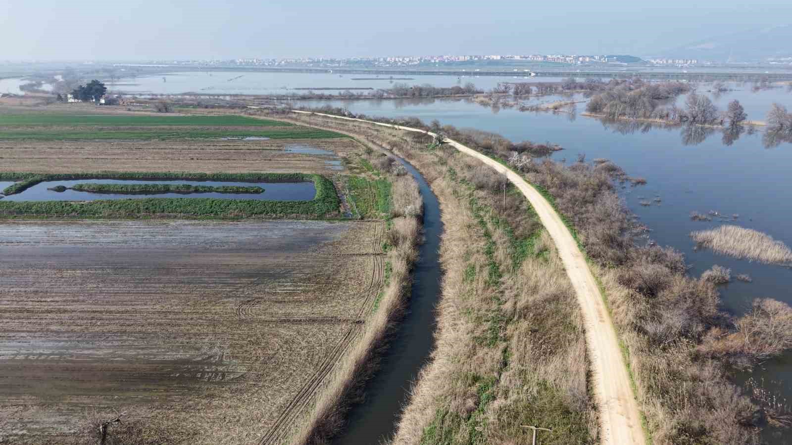 S&uuml;t inek&ccedil;iliğinden d&ouml;rt &ccedil;ocuğunu b&uuml;y&uuml;terek &uuml;niversitede okuttu

