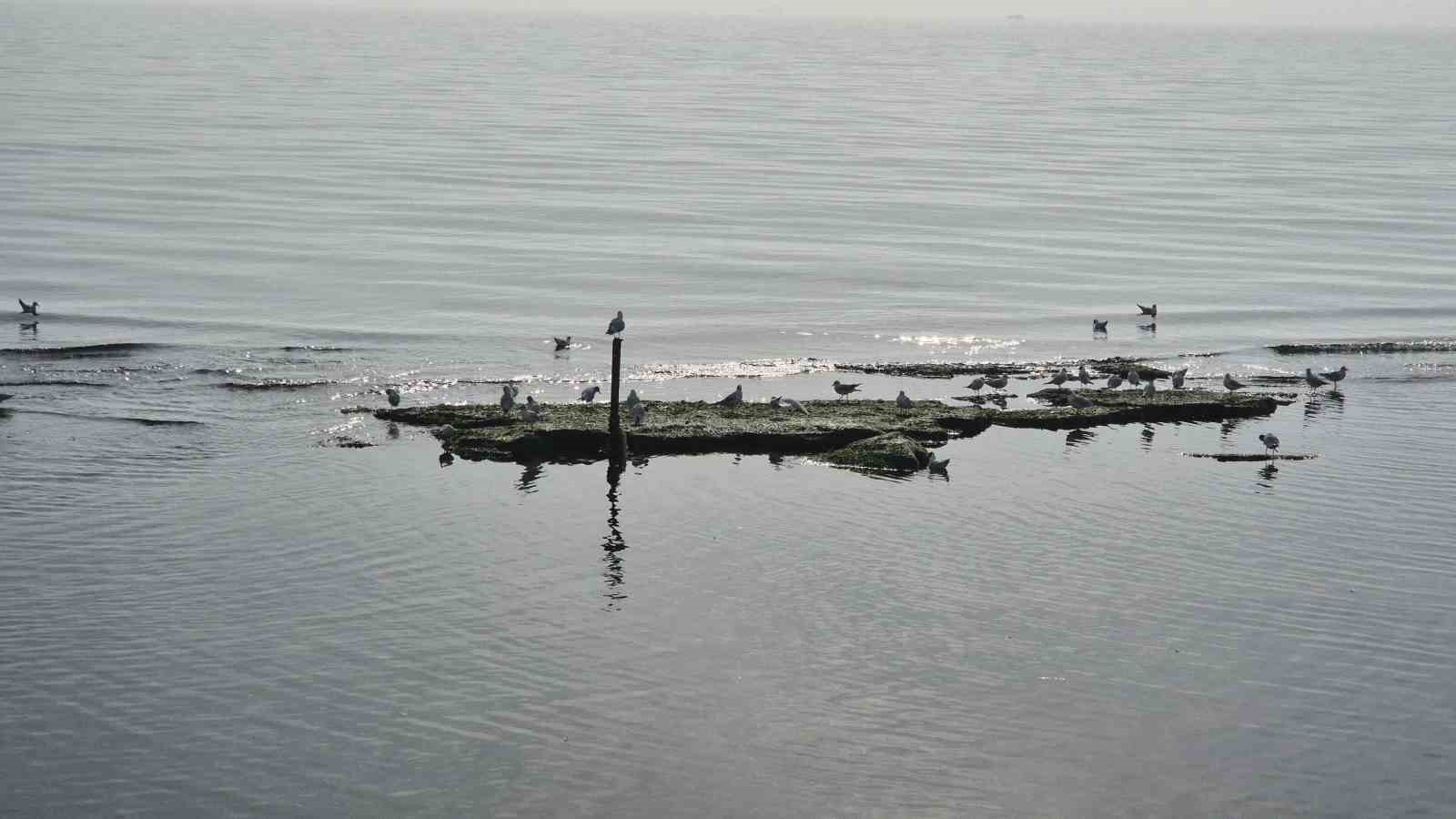 Tekirdağ deniz çekildi ’Kral yolu’ ortaya çıktı
