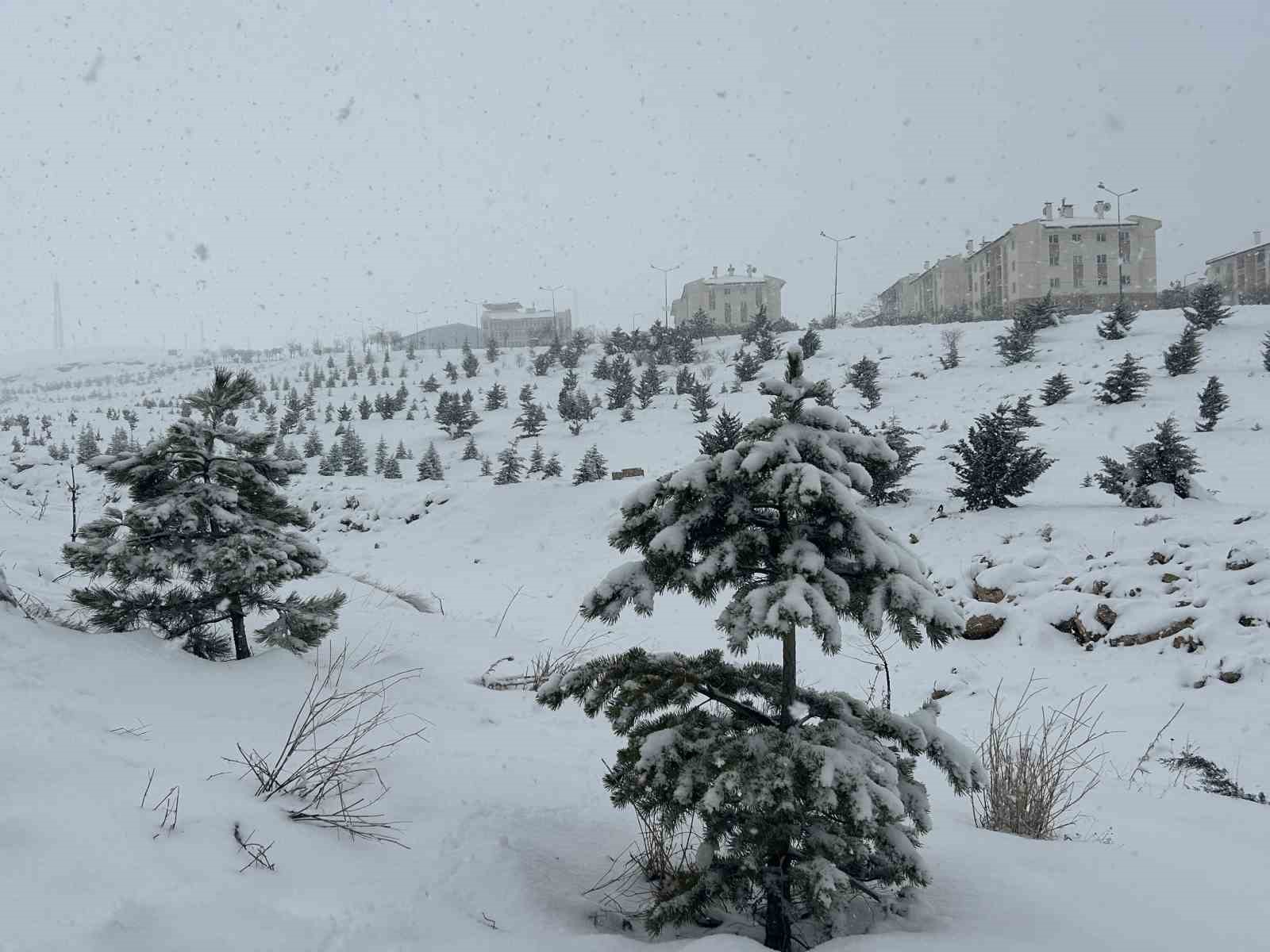 Van&rsquo;da mart ayı kapıdan baktırdı: Kar yağışı ulaşımı durdurdu
