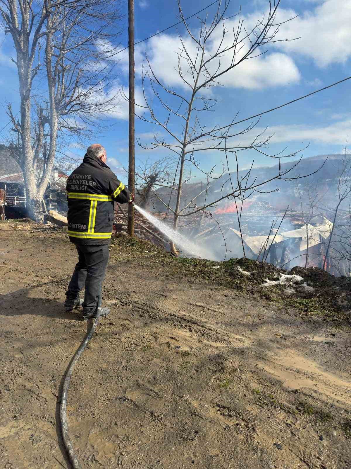 Kastamonu&rsquo;da 2 ev ve bir ambar alev alev yandı
