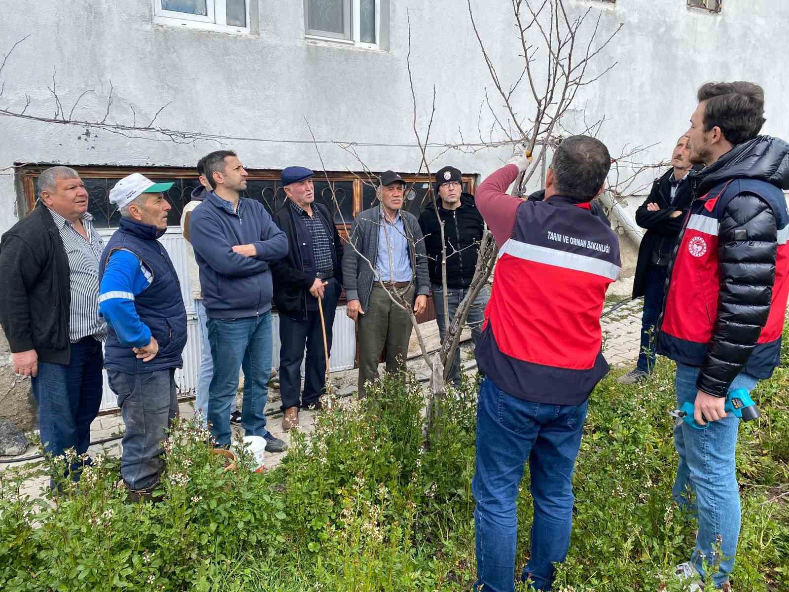 Tavşanlı&rsquo;da meyve &uuml;reticilerine budama eğitimi
