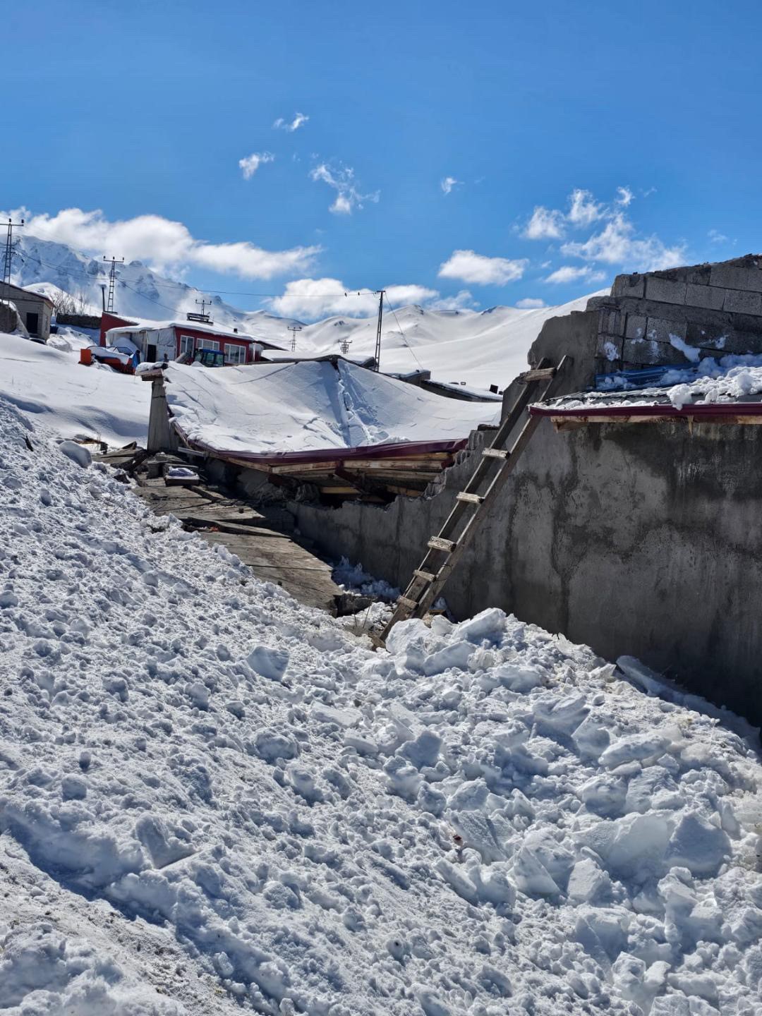 Iğdır&rsquo;da ahır &ccedil;&ouml;kt&uuml;: Hayvanların &ouml;nceden &ccedil;ıkarılması facianın &ouml;n&uuml;ne ge&ccedil;ti
