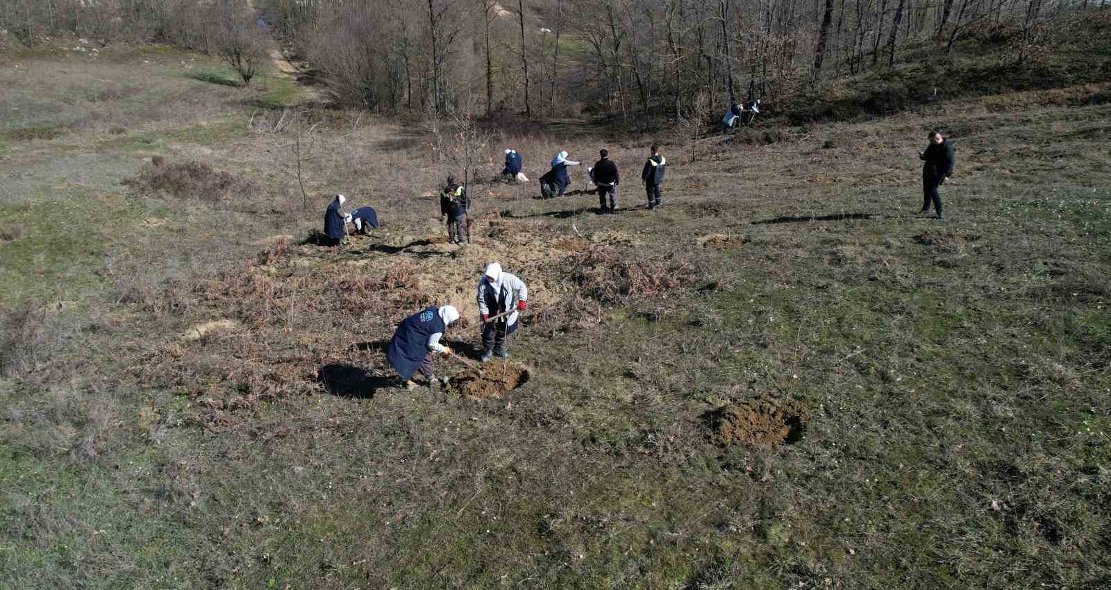 Nil&uuml;fer&rsquo;in atıl arazileri hem nefes hem gelir kaynağı oluyor
