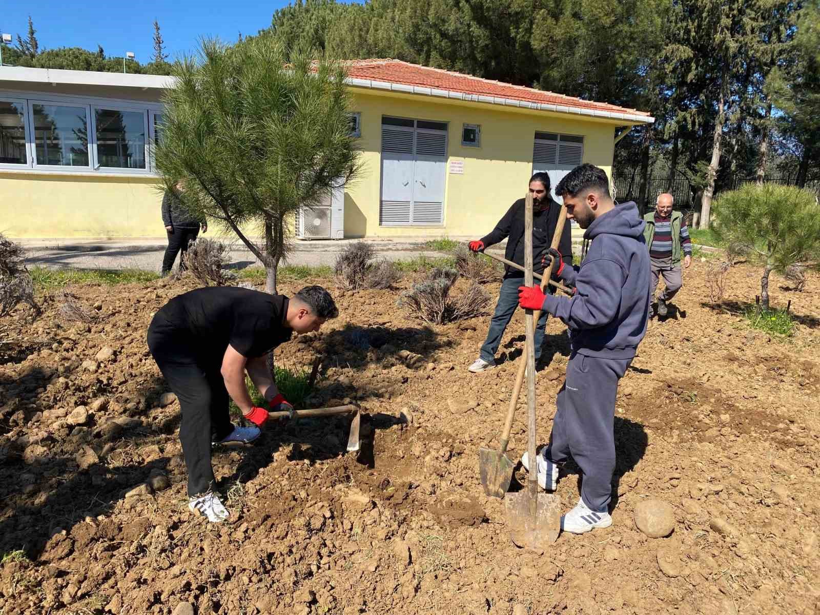 Edremit Meslek Y&uuml;ksekokulu&rsquo;nda lavanta bah&ccedil;esi i&ccedil;in dikim &ccedil;alışmaları başladı
