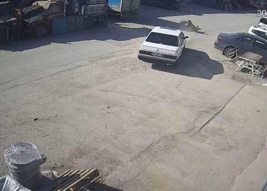 Yolda yatan k&ouml;peği ezdi, arkasına bakmadan uzaklaştı
