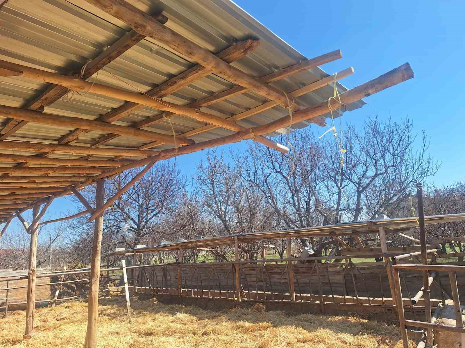 Konya&rsquo;da sosyal medyaya yansıyan hayvancılık işletmesi g&ouml;r&uuml;nt&uuml;lerine inceleme
