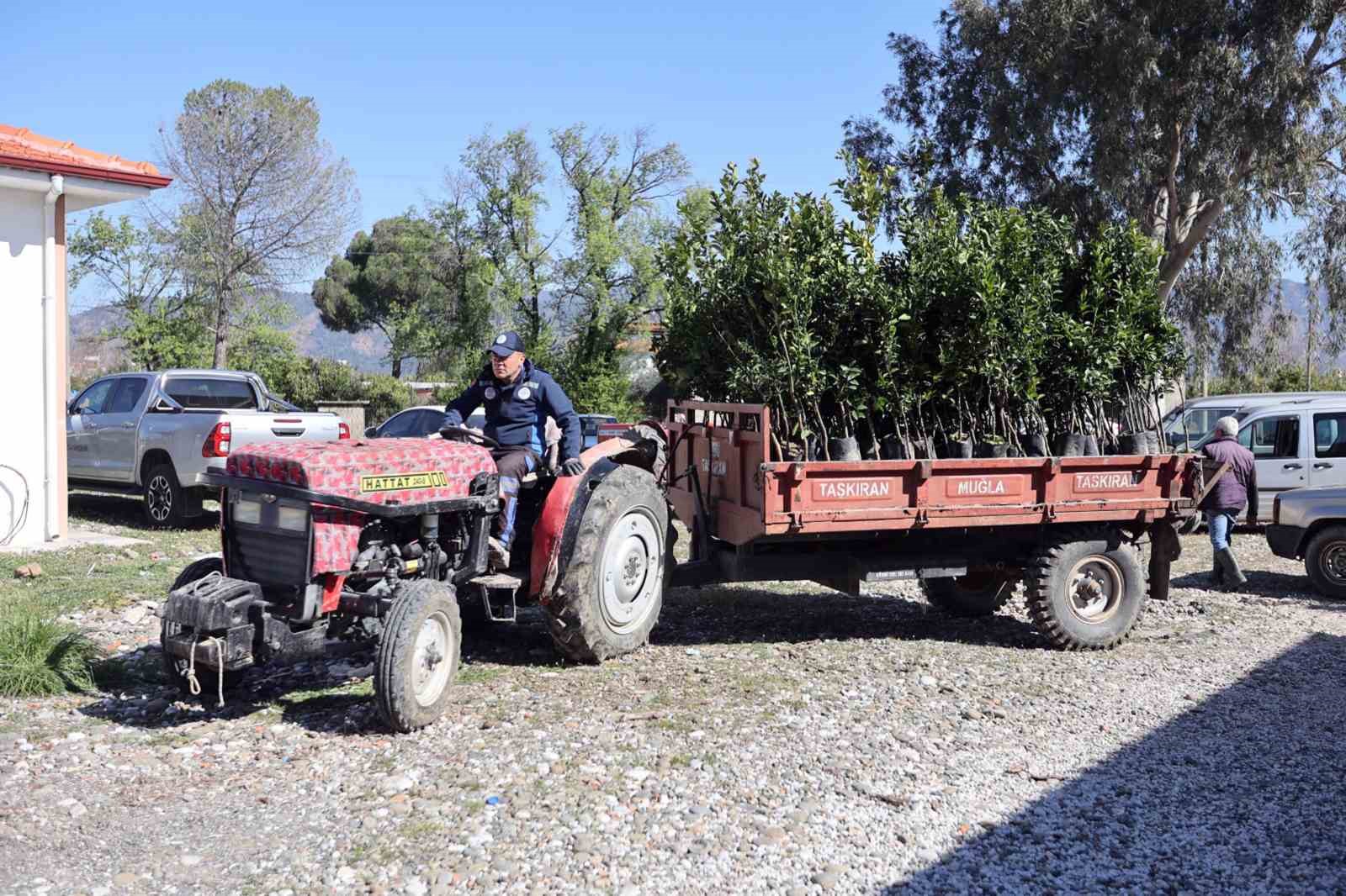 Zirai dondan zarar g&ouml;ren &uuml;reticilere fidan desteği
