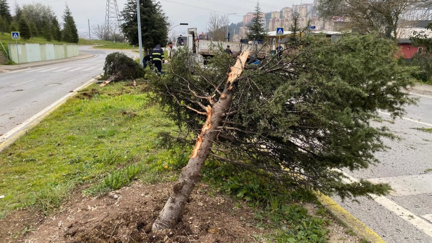 Faciadan d&ouml;n&uuml;len anlar kamerada
