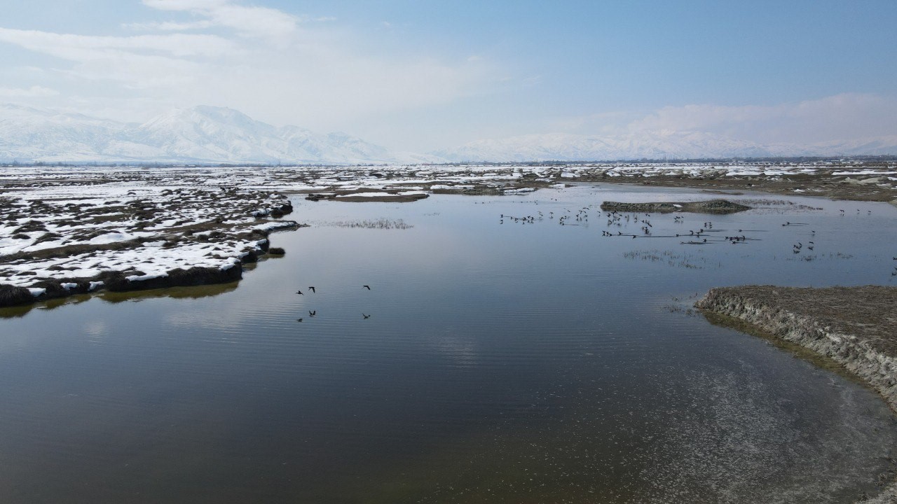 Ekşisu Kuş Cenneti’nde doğa drone ile kaydedildi