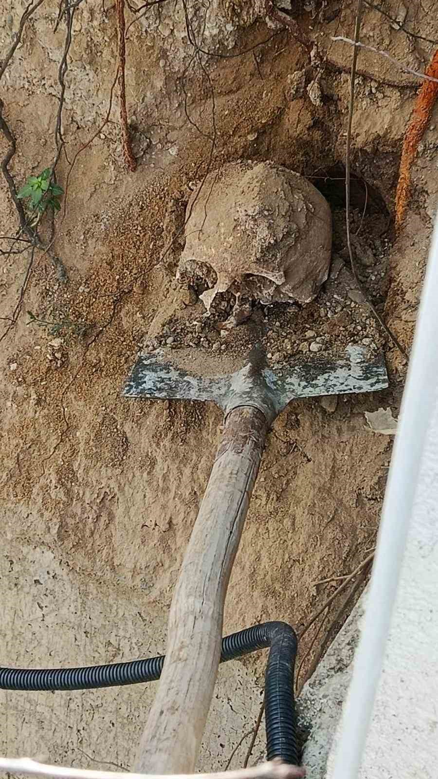 Fidan dikimi sırasında insan kafatası ve kemik par&ccedil;aları bulundu
