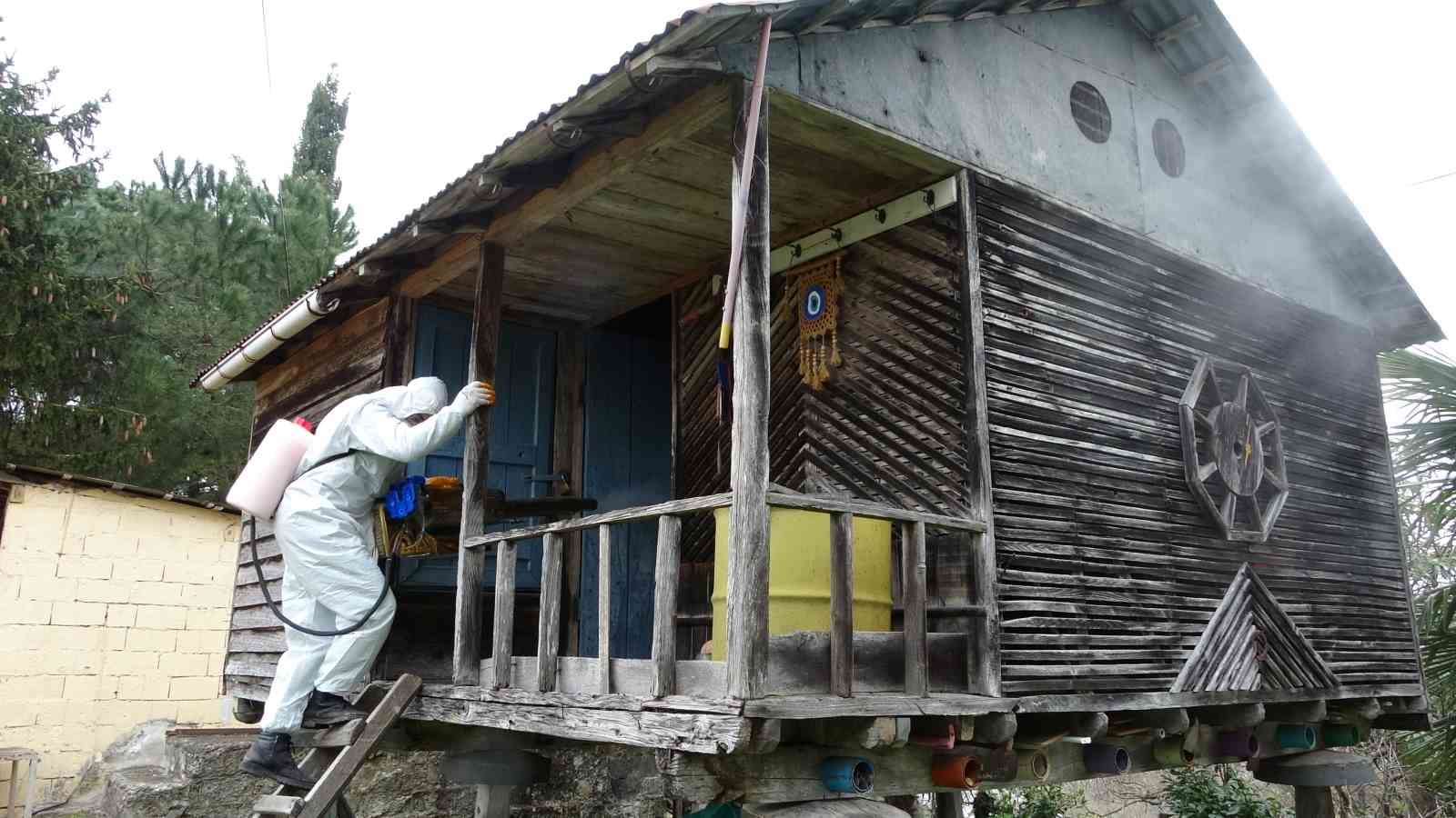 Ordu’da kahverengi kokarca ile kışlak mücadelesi: 330 bin noktadan 190 bini ilaçlandı