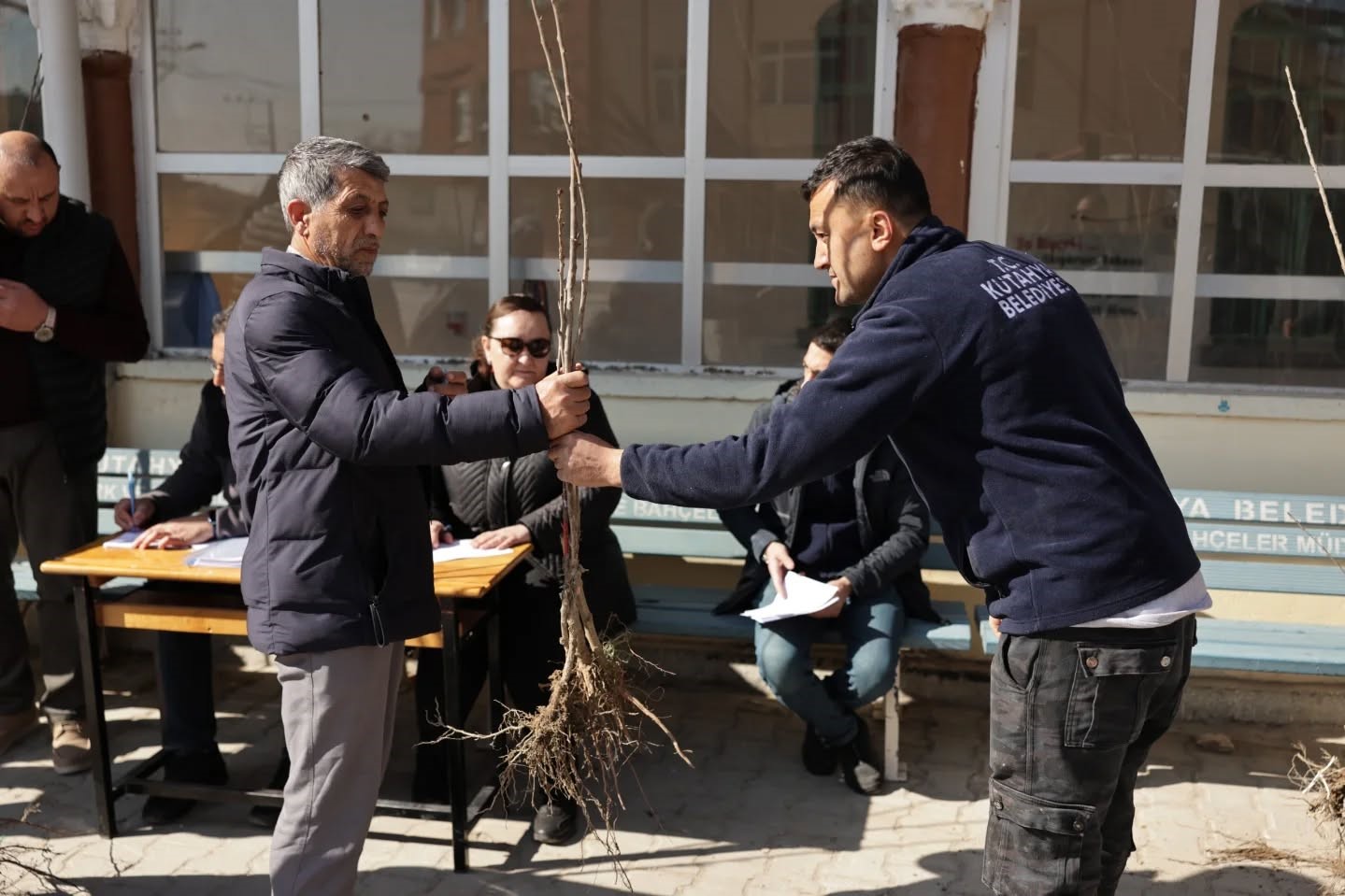 K&uuml;tahya&rsquo;da yerel kiraz t&uuml;rleri yeniden toprakla buluşuyor
