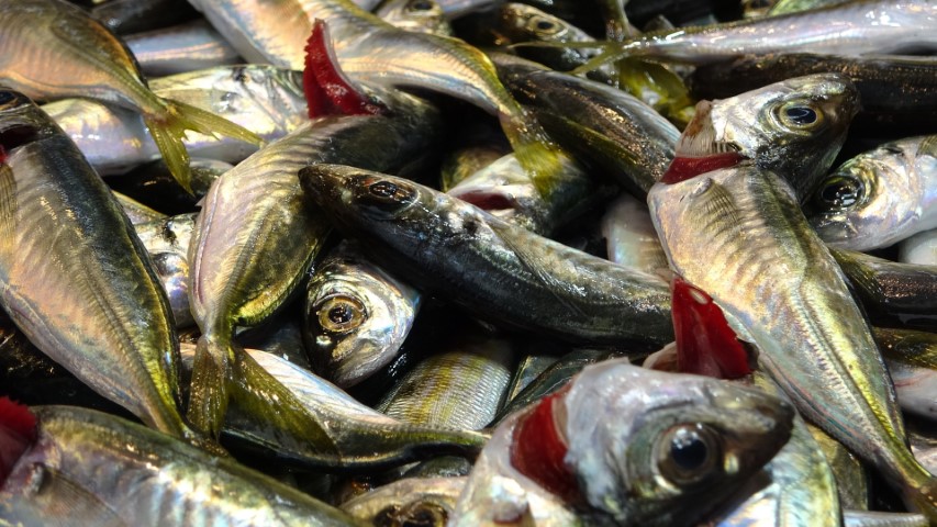 Bayram &ouml;ncesi balık tezgahlarında bolluk