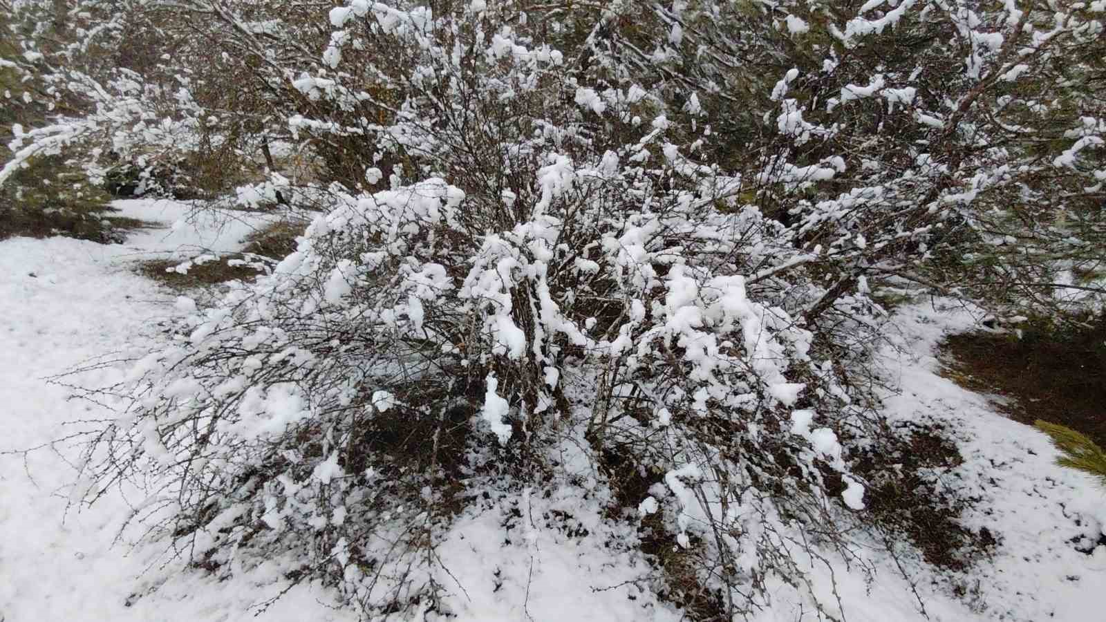 Bolu martta yağan karla beyaza büründü