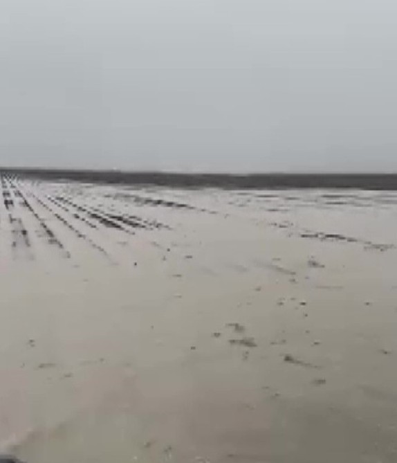 Karataş&rsquo;ta sağanak hayatı fel&ccedil; etti: Yollar ve tarlalar g&ouml;le d&ouml;nd&uuml;
