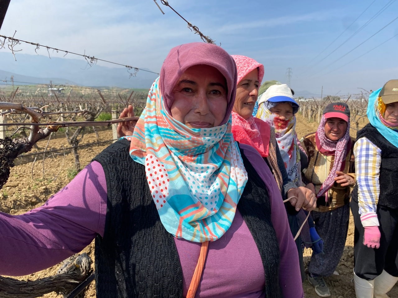 Yağışa teslim olan bağlar ayağa kalktı