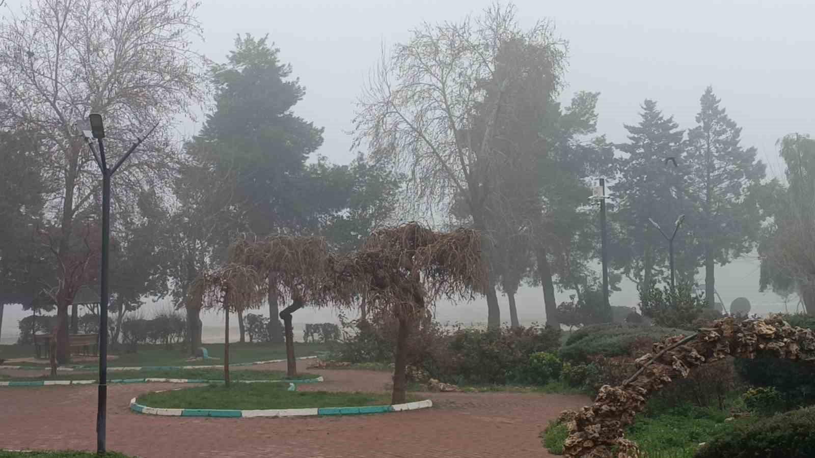 Şanlıurfa’da yoğun sis etkili oluyor