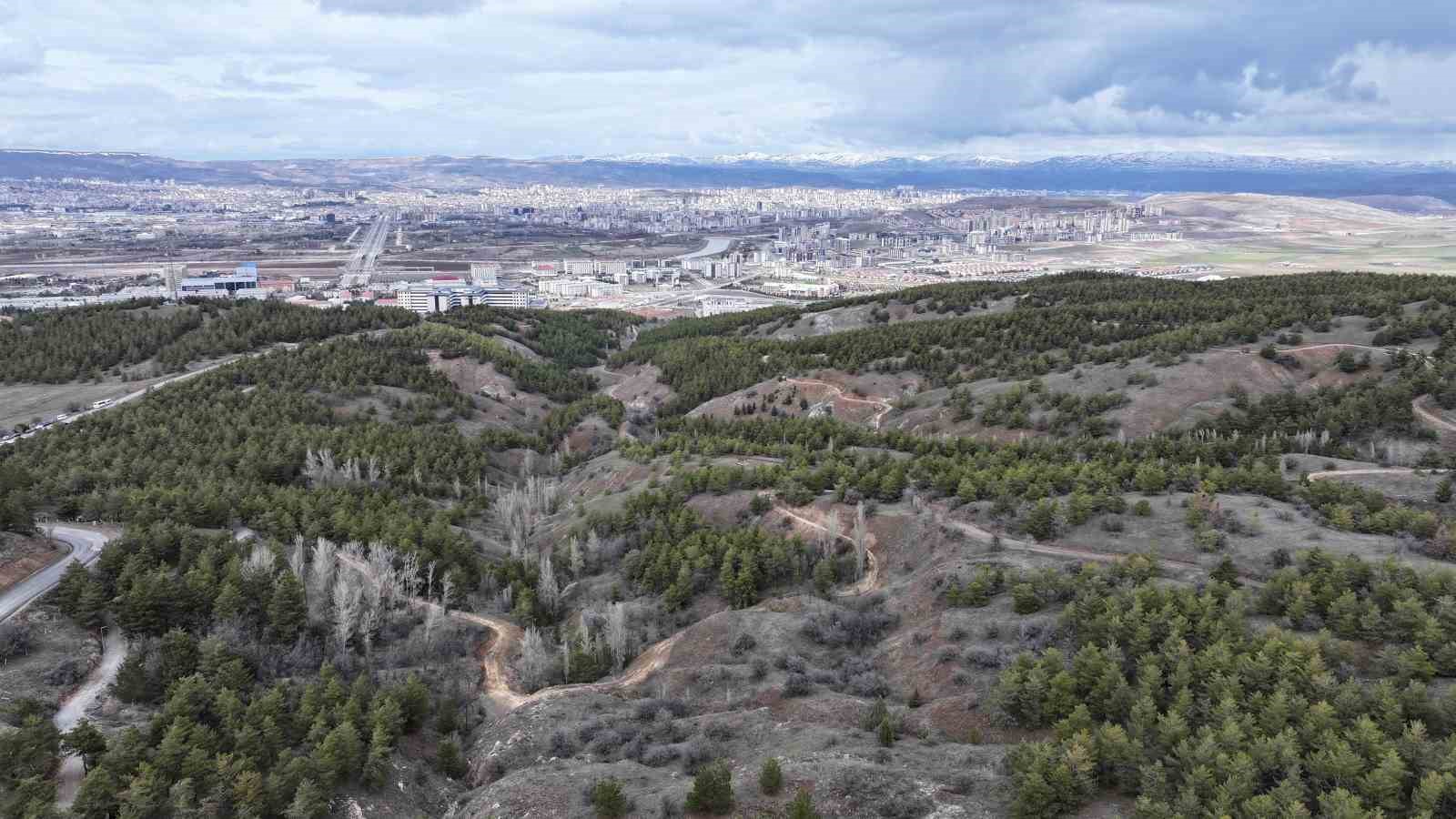 Şehitlerin ismi y&uuml;r&uuml;y&uuml;ş parkurunda yaşatılacak
