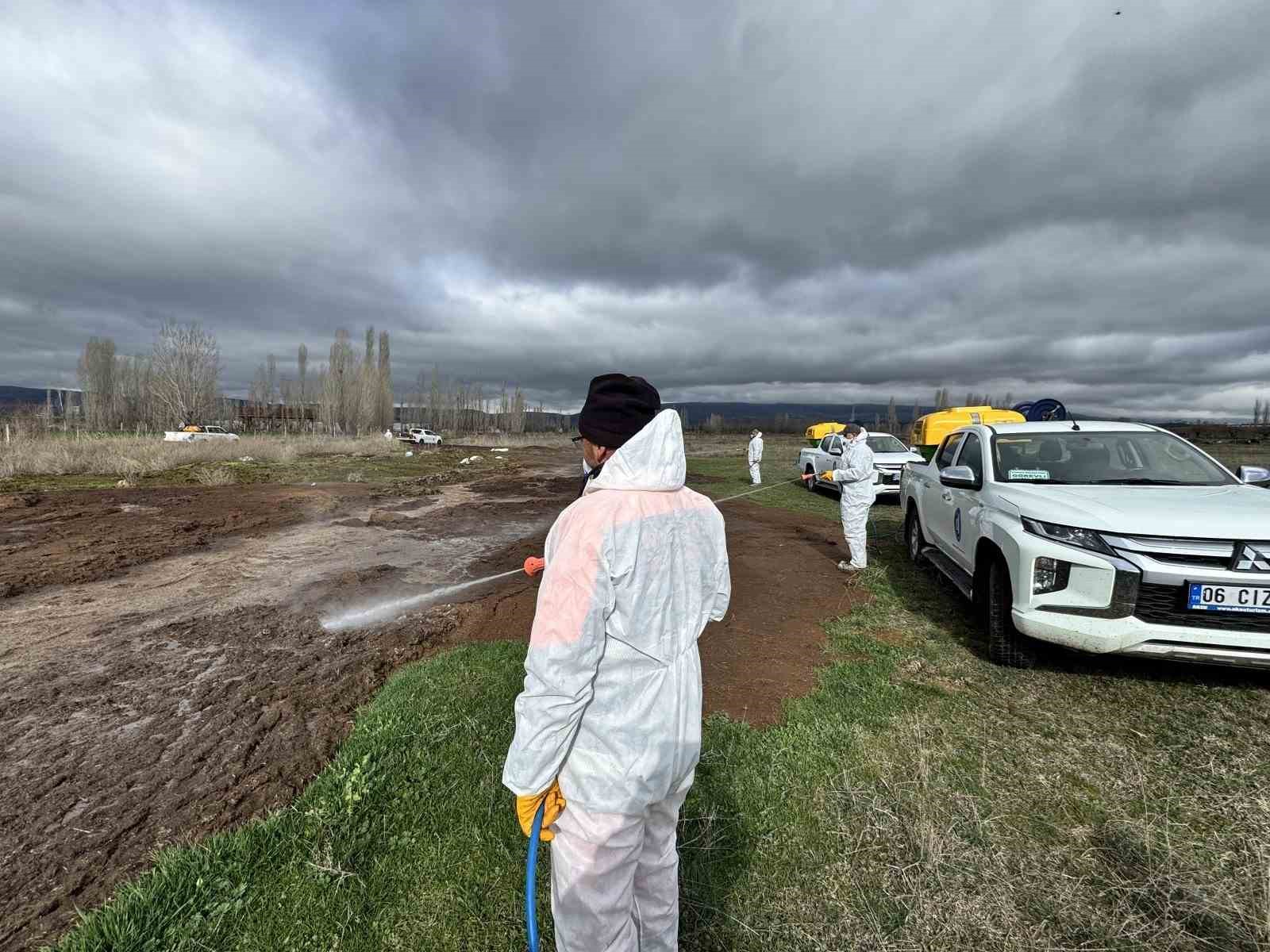 Çorum Belediyesi’nden yaz öncesi vektörle mücadele