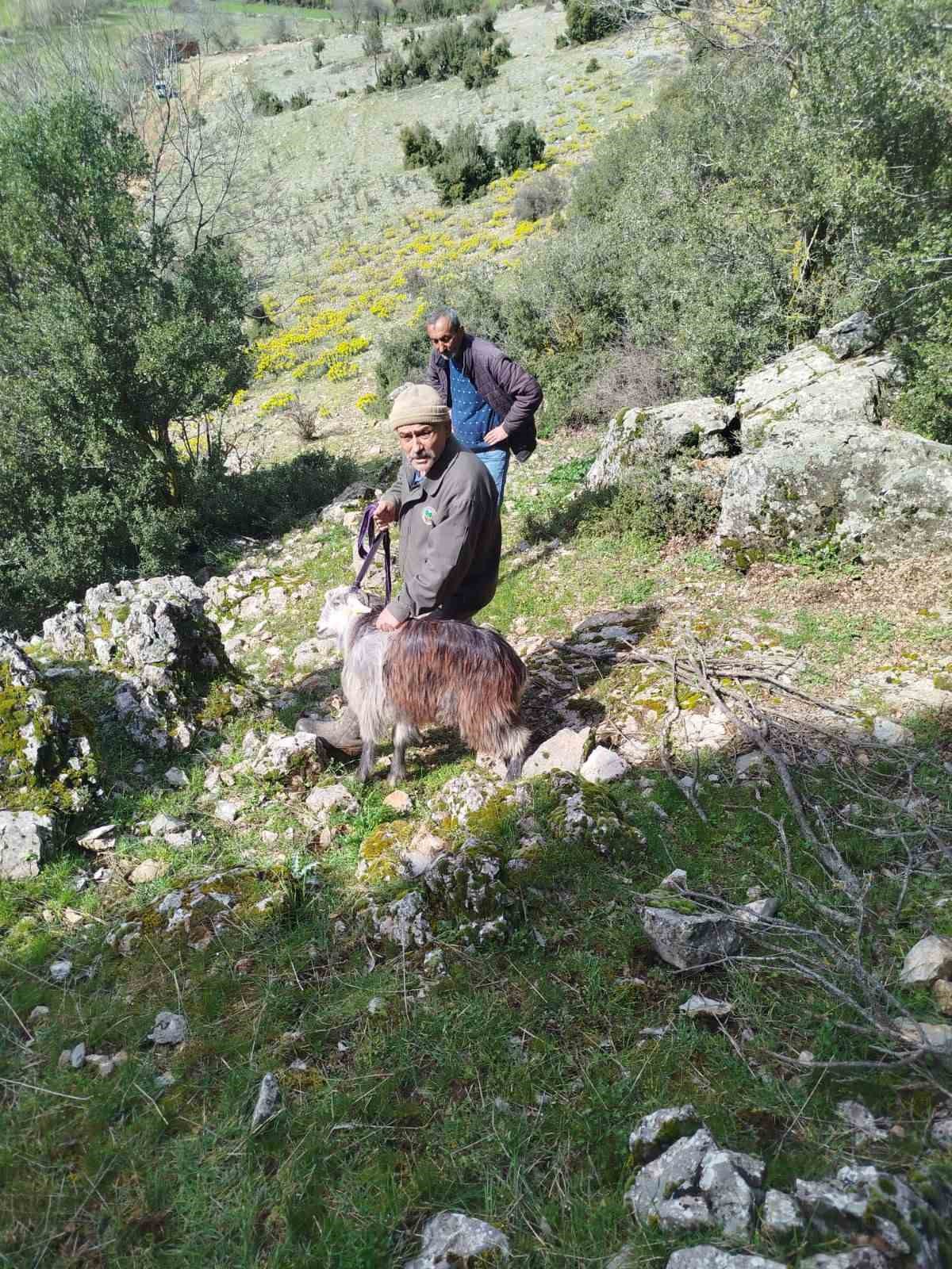 Dağda mahsur kalan keçi kurtarıldı