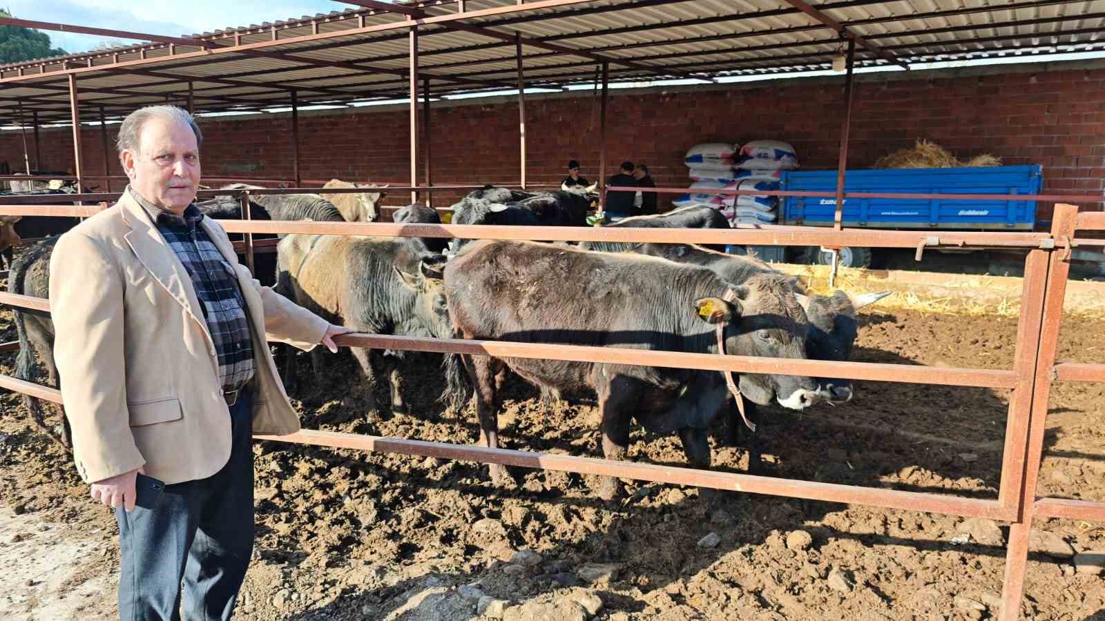 Ramazan bitti, Kurban heyecanı başladı
