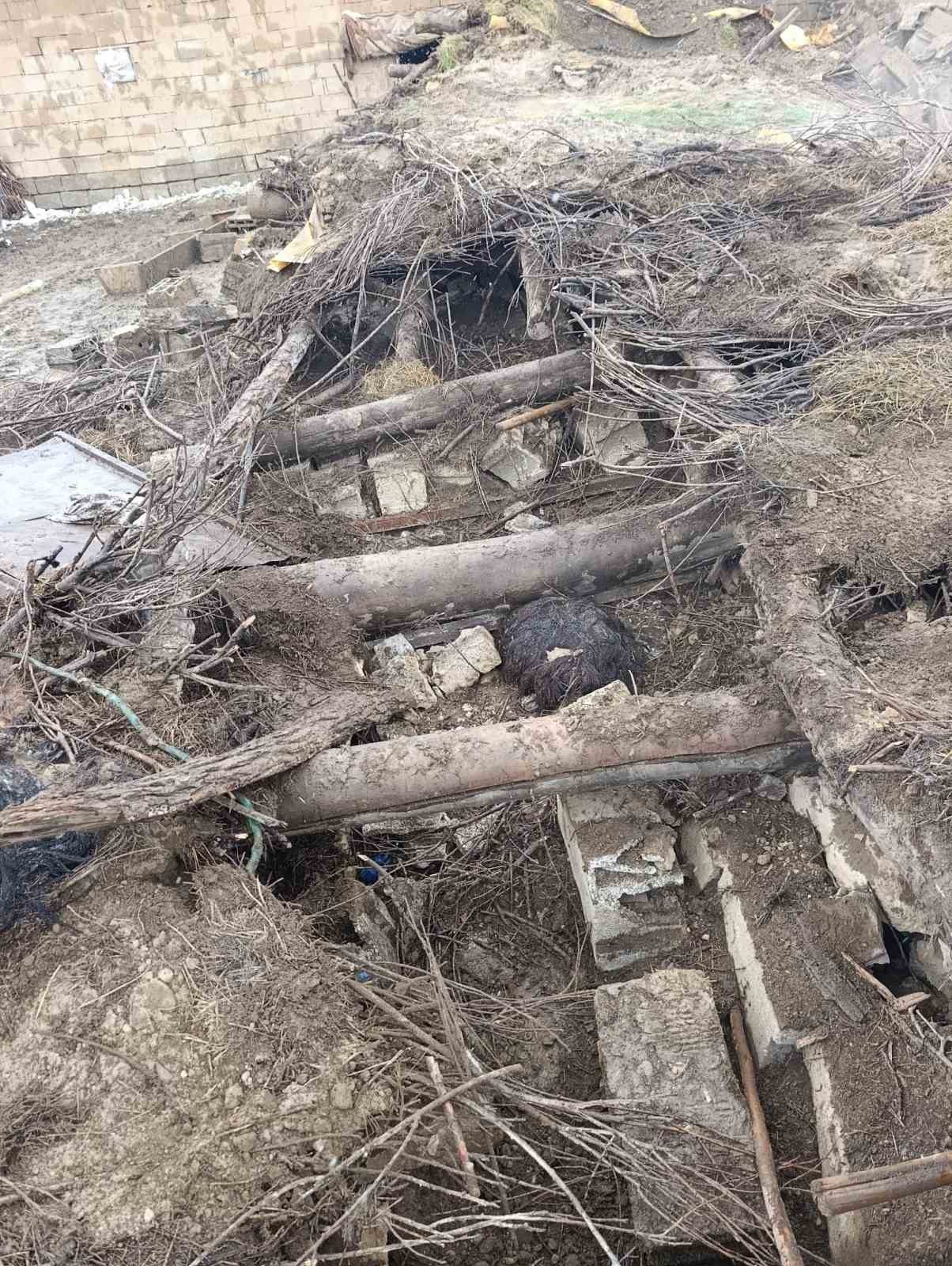 Başkale’de ahır çöktü: 20 küçükbaş hayvan göçük altında kaldı