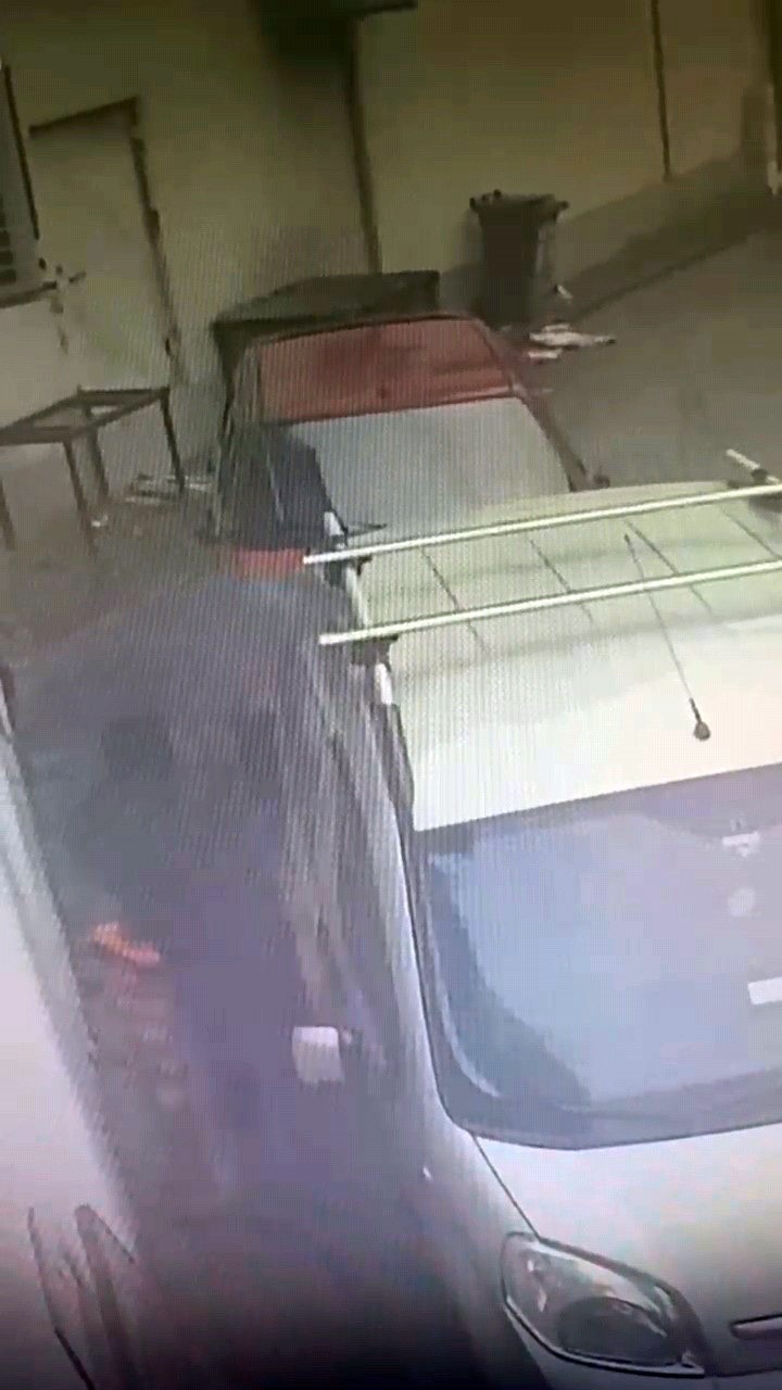 Ara&ccedil; faresi yakayı ele verdi
