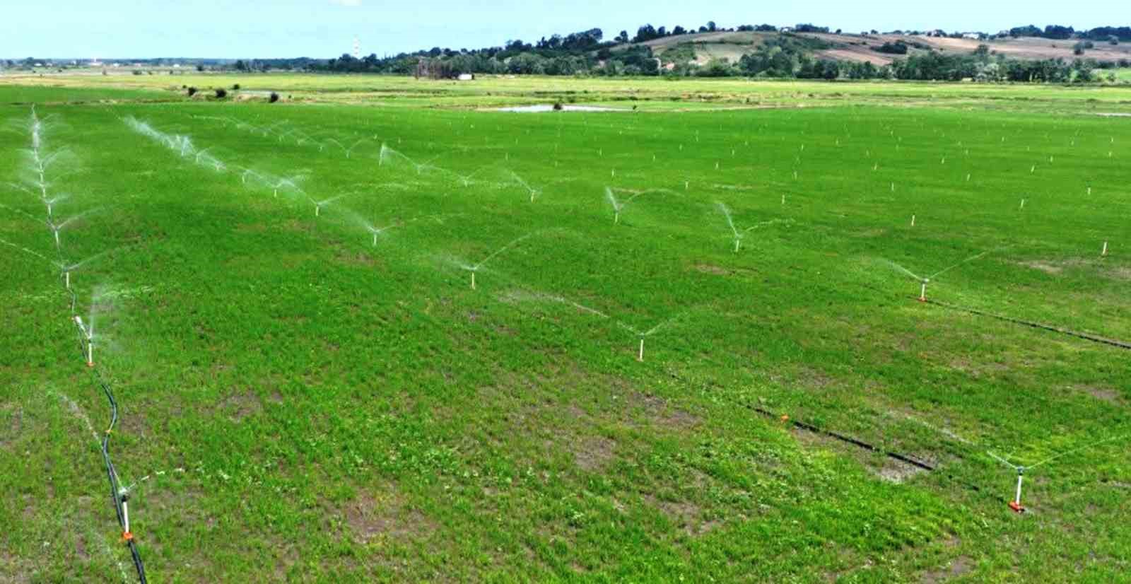 Samsun’da bozulan tarım arazileri cezasız kalmadı: 48 işlem uygulandı