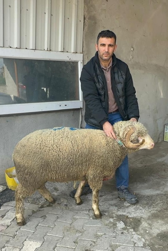 Milyonluk ko&ccedil;un kuzuları i&ccedil;in bug&uuml;nden sıraya girdiler
