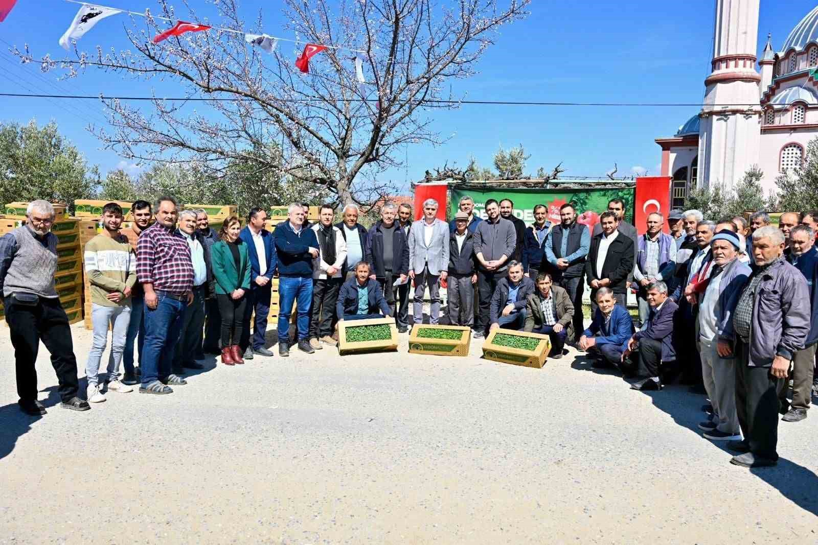 G&ouml;rdes&rsquo;te 73 bin domates fidesi toprakla buluşuyor
