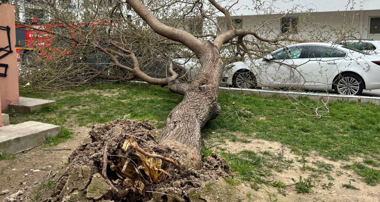Denizli&rsquo;de  &ccedil;atılar u&ccedil;tu, ağa&ccedil;lar ara&ccedil;ların &uuml;zerine devrildi, insanlar y&uuml;r&uuml;yemedi