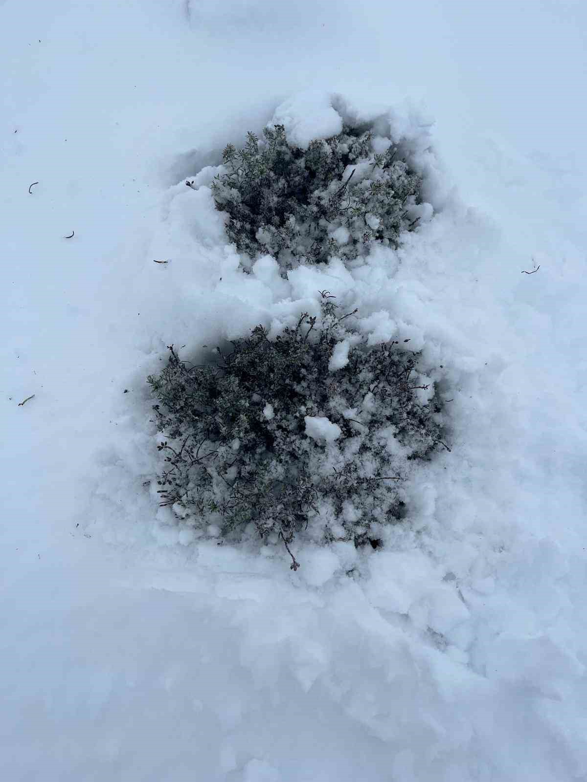 Mart sonunda Karıncalı Dağ’da kar sürprizi