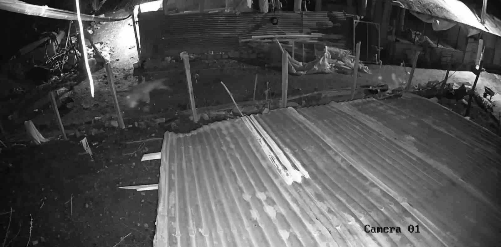 Malatya’da kümese giren kurt, kazı alıp kaçtı