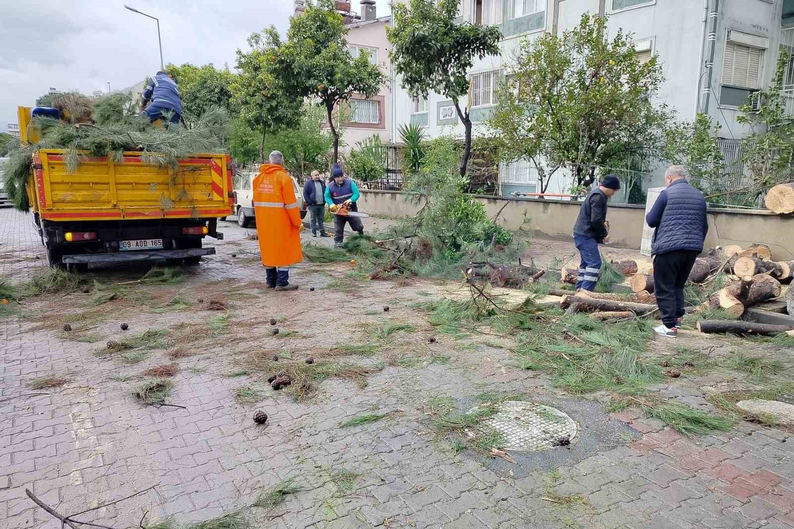 Üzerine ağaç devrilen park halindeki araç zarar gördü