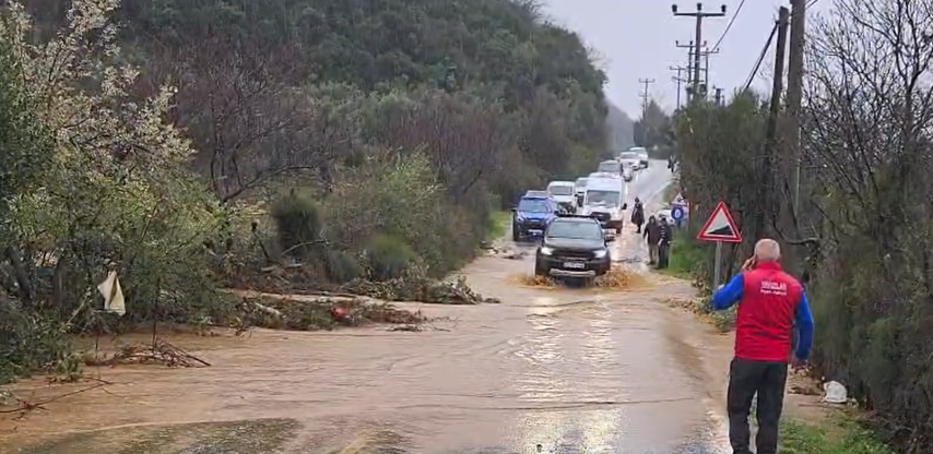 Yalova&rsquo;da sağanak yağışta dereler taştı, 5 b&uuml;y&uuml;kbaş hayvan telef oldu
