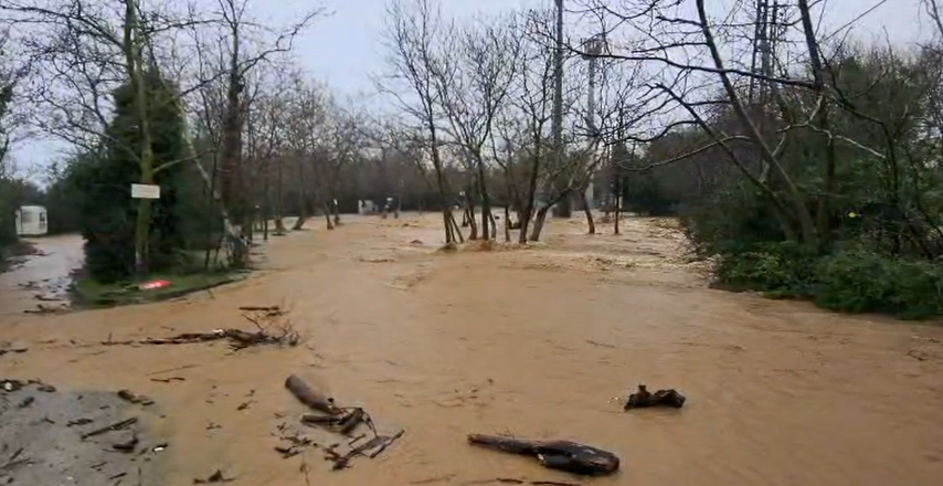 Yalova&rsquo;da sağanak yağışta dereler taştı, 5 b&uuml;y&uuml;kbaş hayvan telef oldu