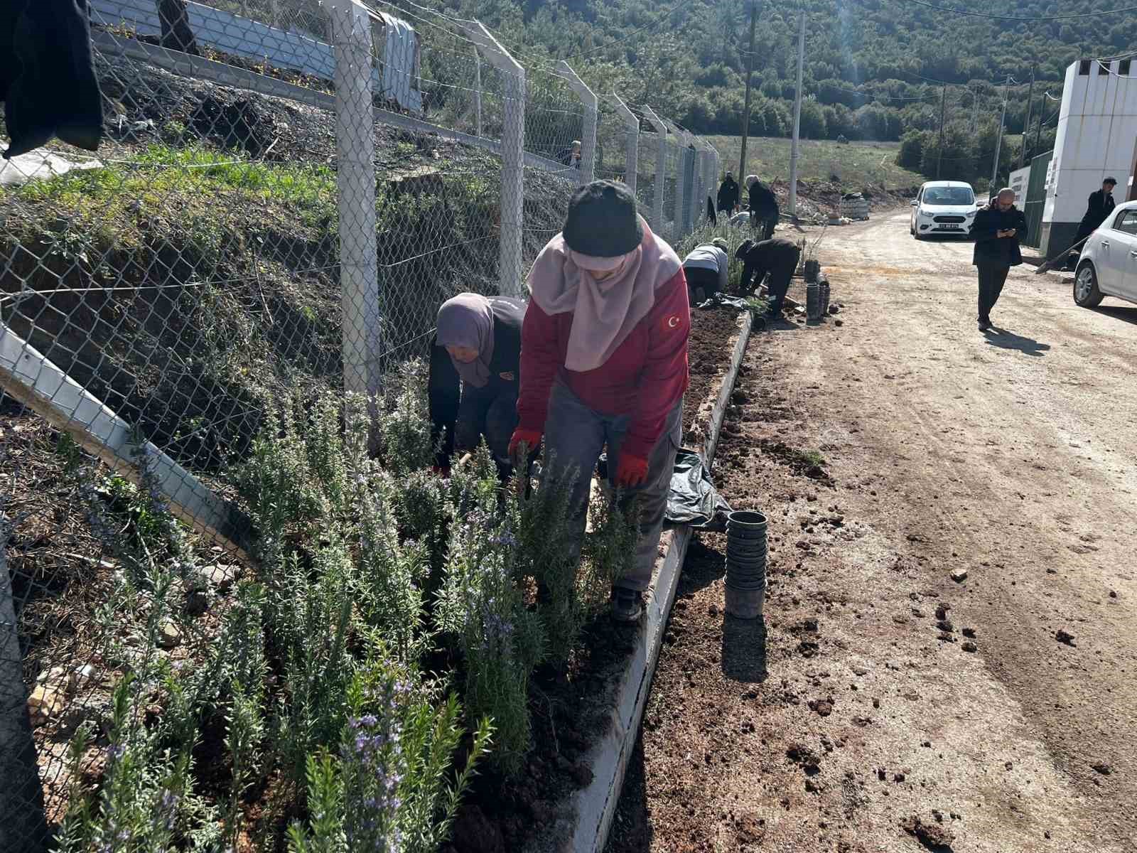 Bilecik’te bahar hazırlıkları başladı