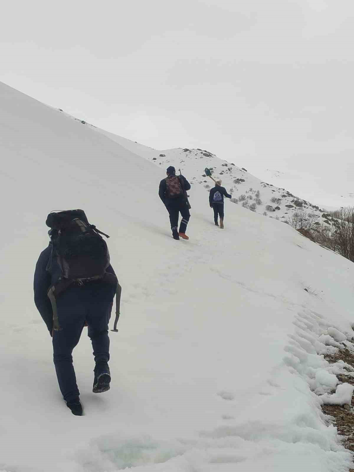 Bayburt&rsquo;ta ayı saldırılarının yaşandığı yaylada ulaşım sorunu s&uuml;r&uuml;yor
