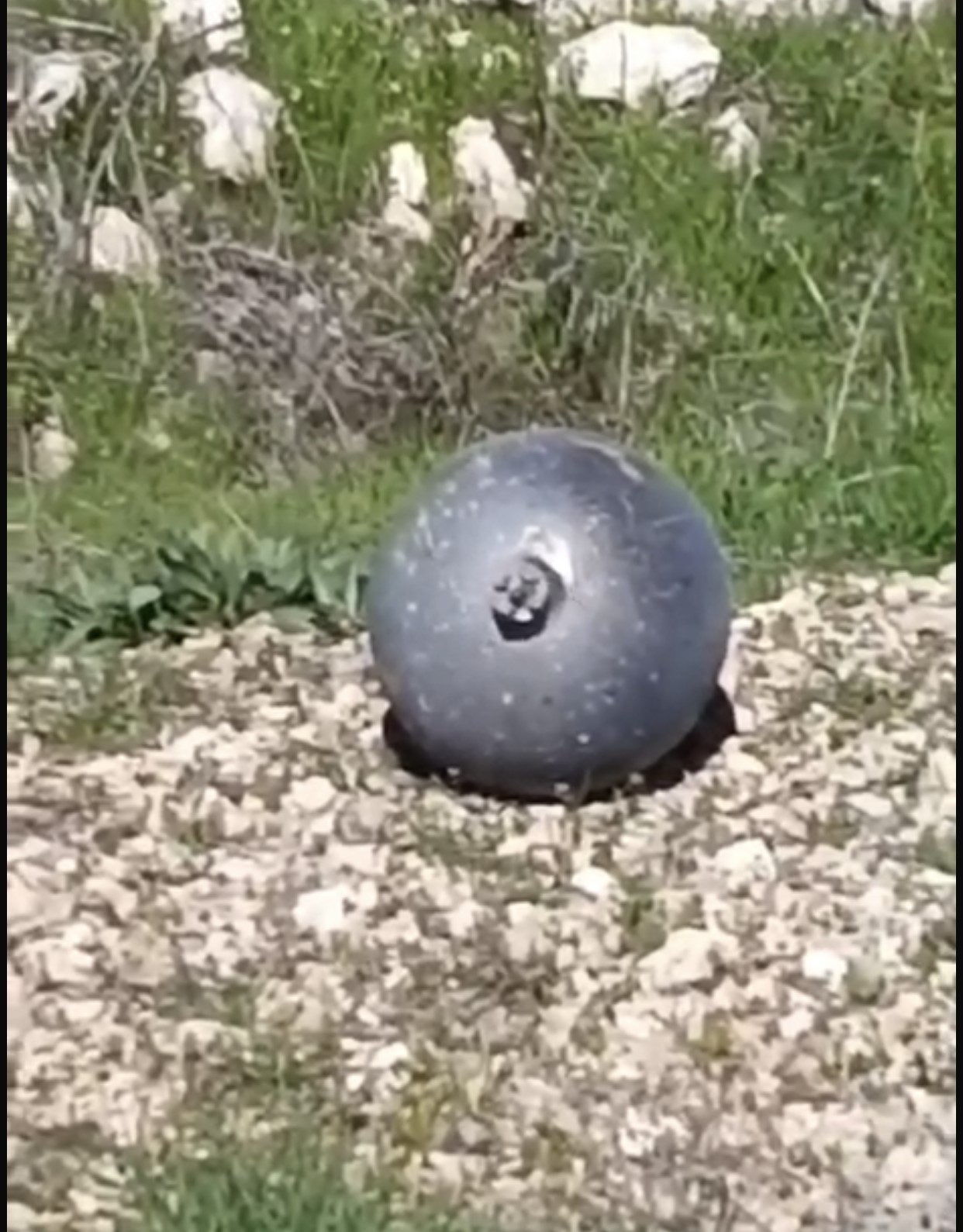 K&ouml;yl&uuml;lerin bulduğu cisim tedirgin etti
