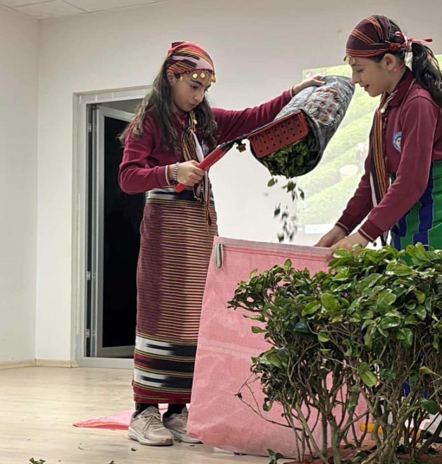 Aydıntepe&rsquo;de &ouml;ğrencilerden &ccedil;ay festivali
