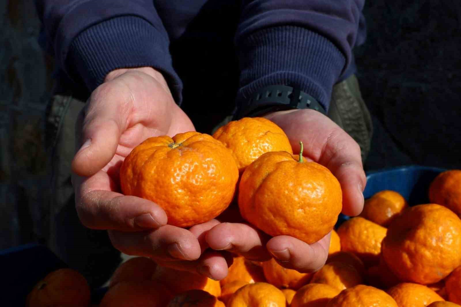 Mandalin &uuml;reticisine 5 milyon kazan&ccedil;
