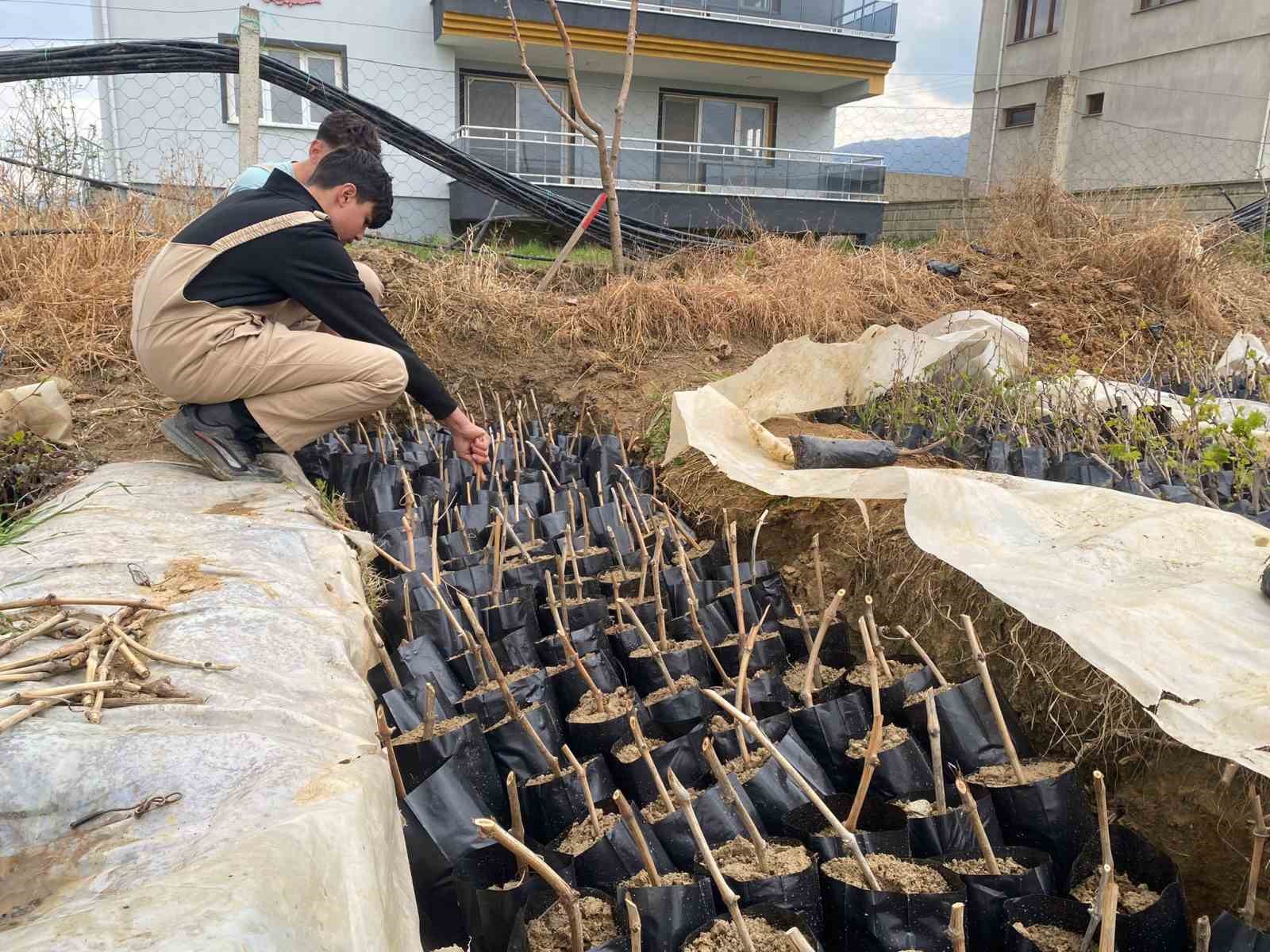 Liselilerden b&ouml;lge tarımına b&uuml;y&uuml;k katkı
