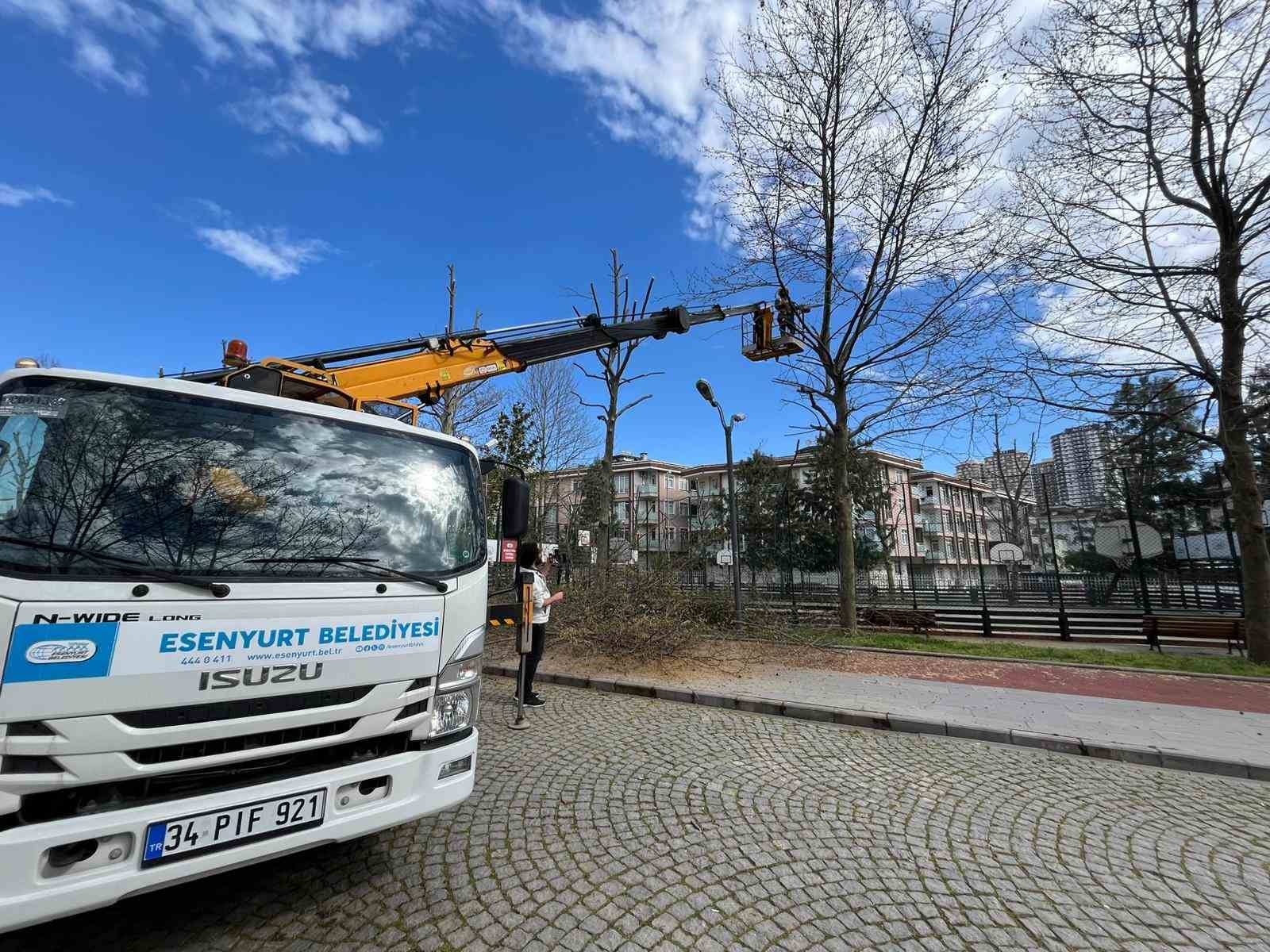 Esenyurt Belediyesi’nden yeşil alanlara bahar dokunuşu