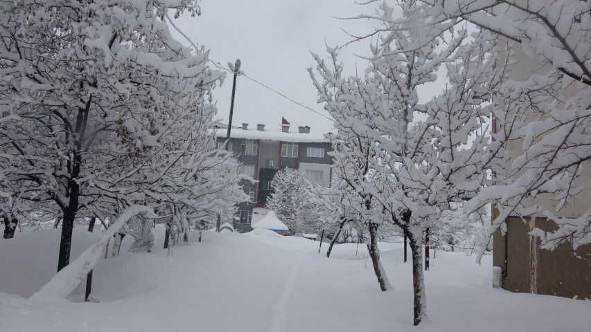 Bitlis&rsquo;te 111 k&ouml;y yolu ulaşıma kapandı